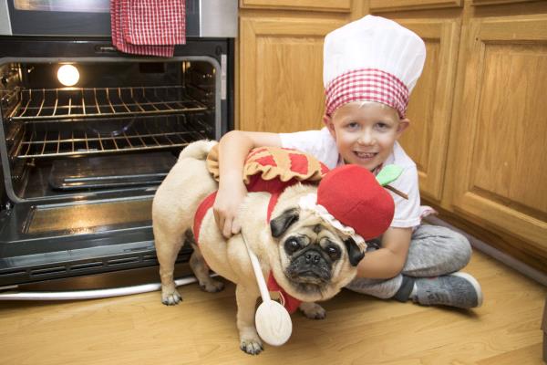 /images/uploads/pug nation rescue of los angeles/2018pugnation/entries/6115thumb.jpg